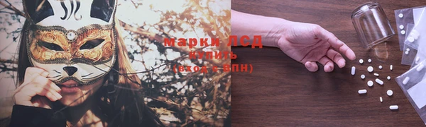 гидра Липки