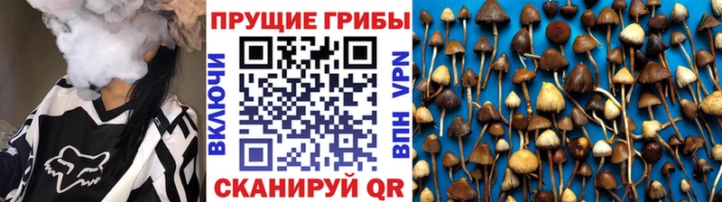 маркетплейс Telegram  Таштагол  Псилоцибиновые грибы Magic Shrooms 