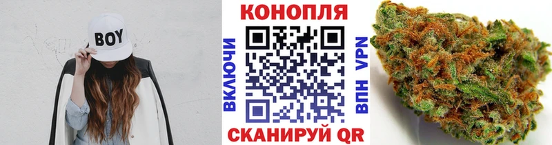 Шишки марихуана OG Kush  KRAKEN вход  Таштагол 